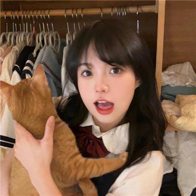 木府风云